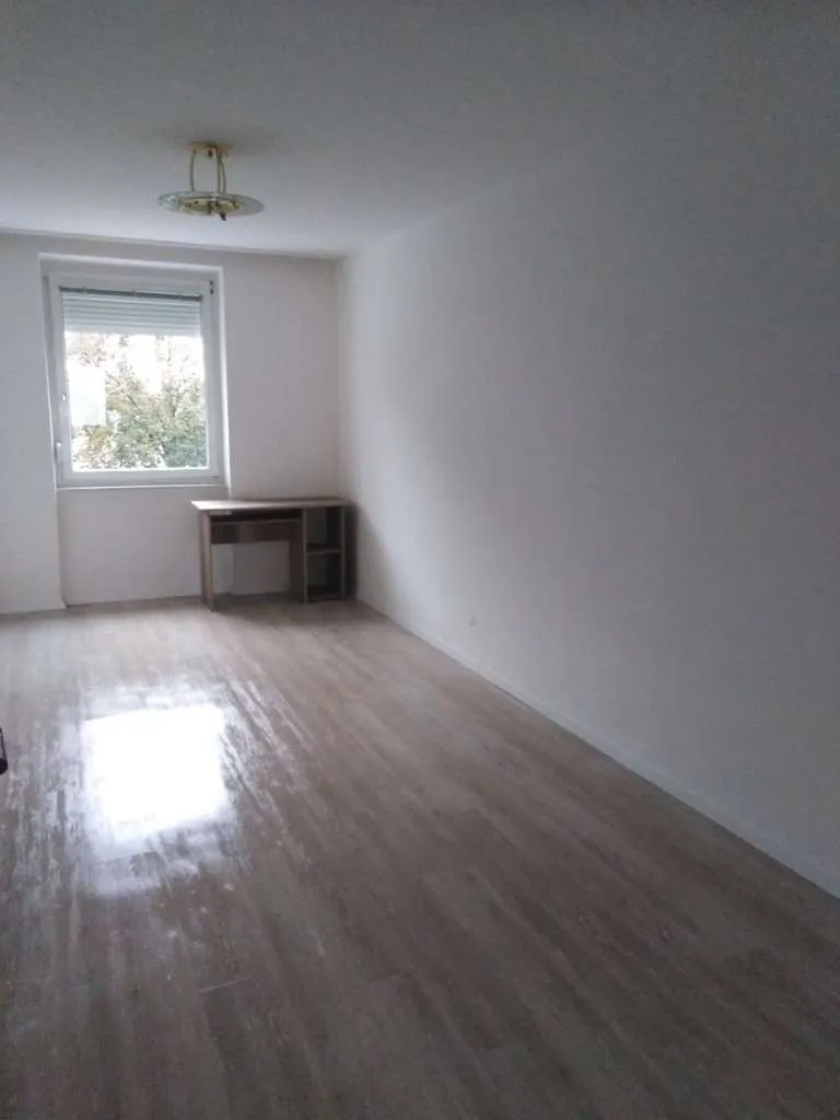 Ruhige zentral gelegene Wohnung - Ansicht 2