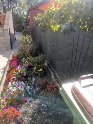 6-Zimmer-Haus mieten in Wien – 150 m², € 2.250 – Bild 5 von 51