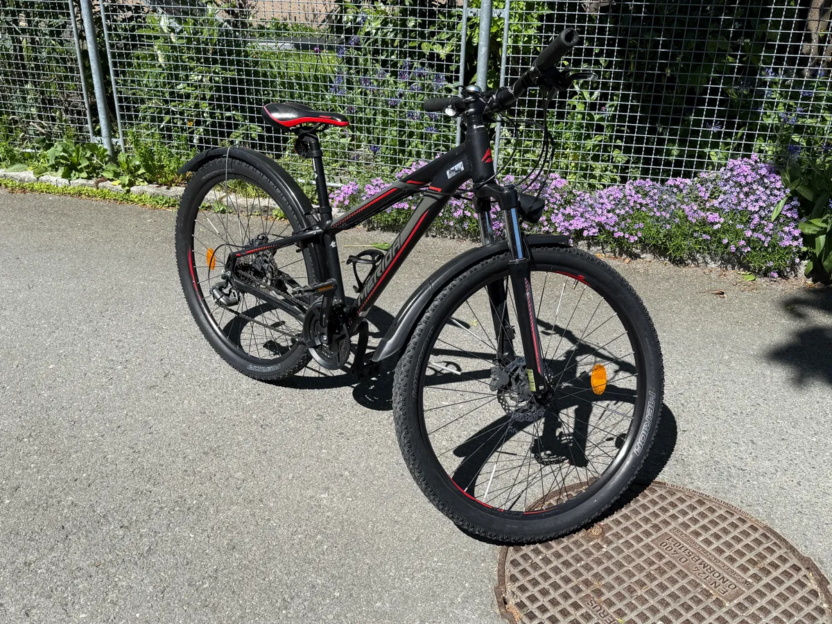 fiberglasstangen für zelt BERGER 8mm Zusatzgestänge Gestänge Stange Erweiterung Camping Ersatz schwarz Sport & Freizeit Color:Planetary/Coyote Purple + BL Onyx _THEME_Horses Ihr Fahrradladen für gute