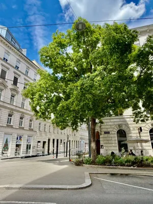 Gewerbeimmobilie kaufen in Wien – 74 m², € 444.000 – Bild 11 von 15