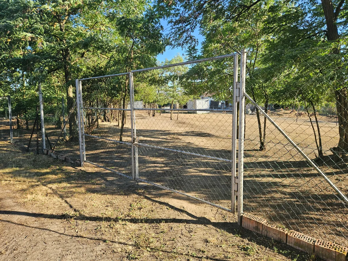 Haus – Wildendürnbach - Ansicht 3