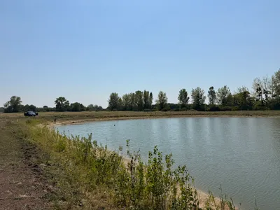 Immobilie kaufen in Österreich – 49 000 m², € 650.000 – Bild 7 von 14