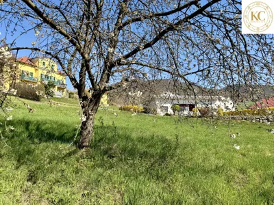 Grundstück kaufen in Südoststeiermark – 1 146 m², € 90.000 – Bild 5 von 5