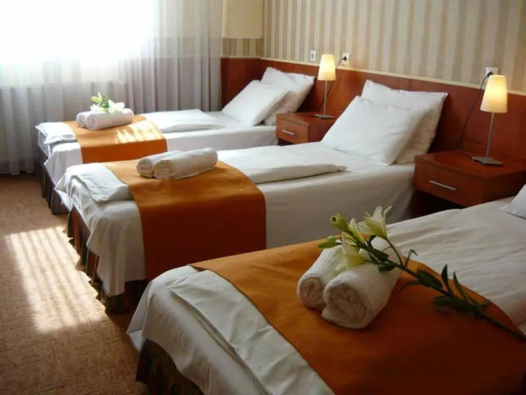 Hotel in Toplage im 8. Bezirk von Budapest - Ansicht 2