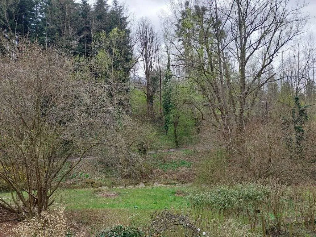 Provisionsfrei: Garconniere mit Balkon und Tiefgarage in LKH/Med-Uni-Nähe - Graz-Ragnitz zu vermieten! - Visning 3