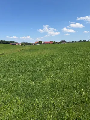 4-Zimmer-Haus kaufen in Salzburg-Umgebung – 160 m², € 540.000 – Bild 7 von 10