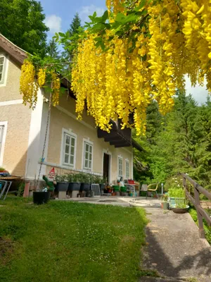 4-Zimmer-Wohnung kaufen in Villach Land – 90 m², € 120.000 – Bild 3 von 26