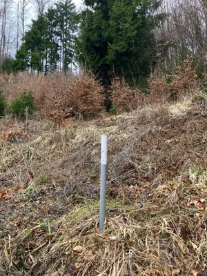 Grundstück kaufen in Gmunden – 53 008 m², € 3 – Bild 6 von 13