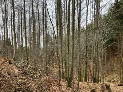 Grundstück kaufen in Gmunden – 53 008 m², € 3 – Bild 12 von 13