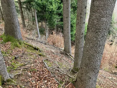 Grundstück kaufen in Gmunden – 53 008 m², € 3 – Bild 1 von 13