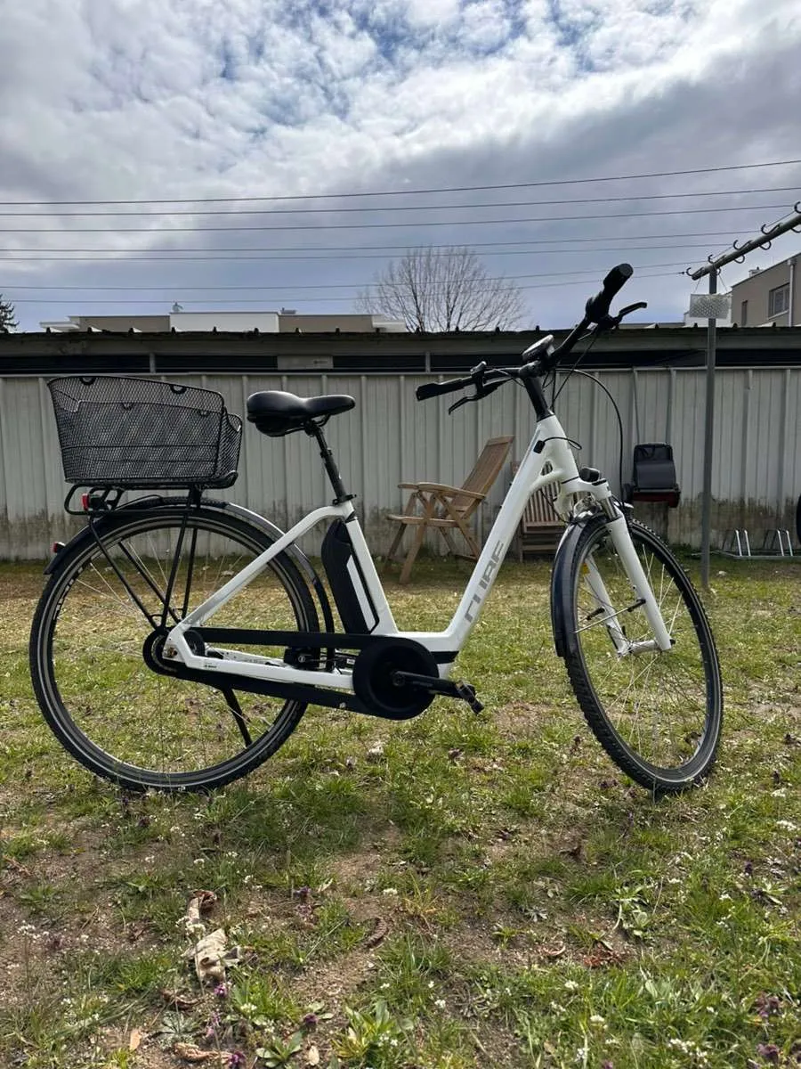 e fully carbon E23 FRAME (fat bike type)+ MOTOR + BATTERY KIT Saftige Kokosmakronen von Oma fight fungus gnats Shoe size:39