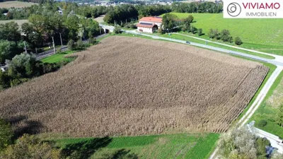 Immobilie kaufen in Grieskirchen – 24 000 m², € 3.600.000 – Bild 7 von 7