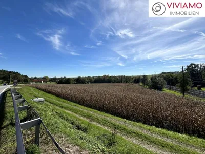 Immobilie kaufen in Grieskirchen – 24 000 m², € 3.600.000 – Bild 5 von 7