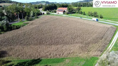 Immobilie kaufen in Grieskirchen – 24 000 m², € 3.600.000 – Bild 6 von 7