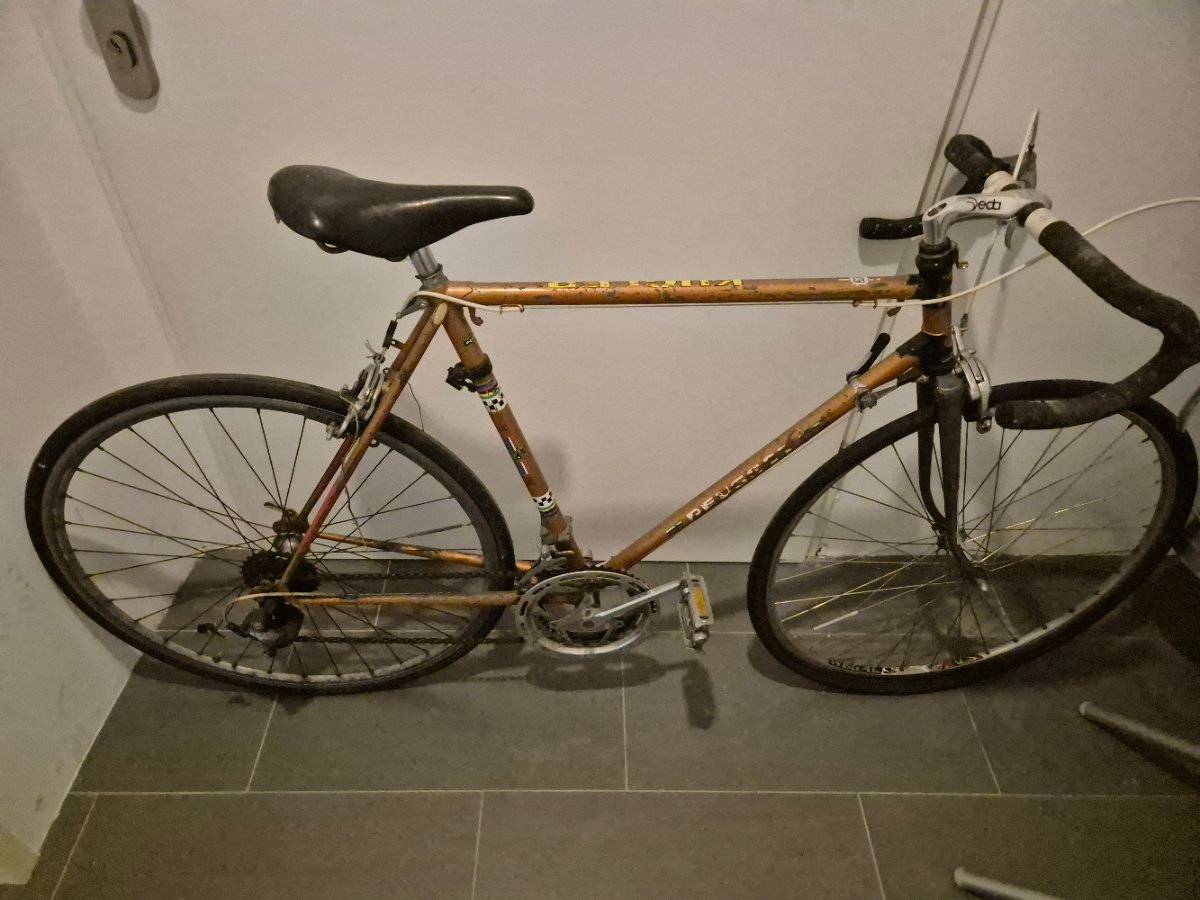 sks schutzblech 28 zoll SKS Speedrocker Schutzblech-Set