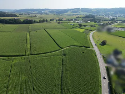 Immobilie kaufen in Leibnitz – Bild 4 von 7