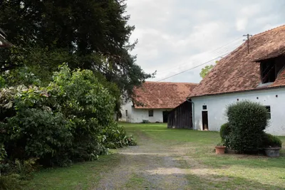 10-Zimmer-Haus kaufen in Südoststeiermark – 380 m², € 1.950.000 – Bild 16 von 30