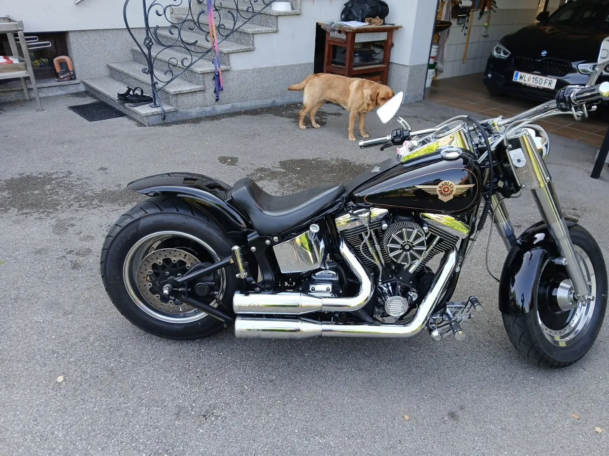 Harley-Davidson Softail