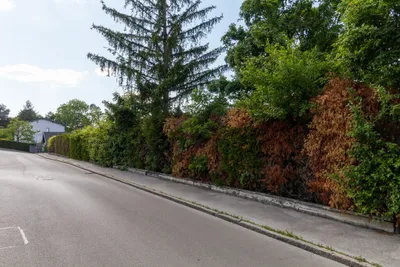 Grundstück kaufen in Tulln – 671 m², € 549.998 – Bild 9 von 12