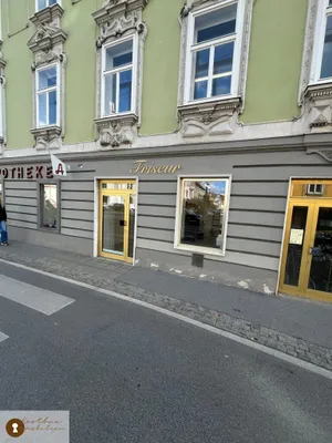 1-Zimmer-Gewerbeimmobilie mieten in Graz – 24,8 m², € 306 – Bild 2 von 8