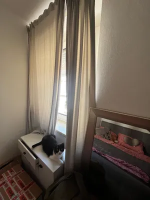 1-Zimmer-Wohnung mieten in Eisenstadt – 40 m², € 540 – Bild 11 von 11