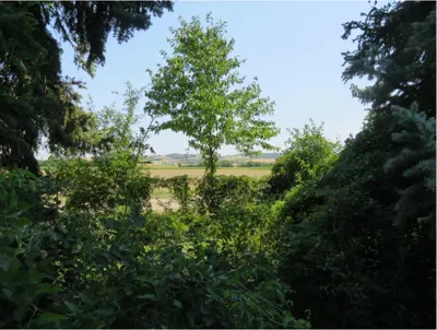 Grundstück kaufen in Korneuburg – 936 m², € 370.000 – Bild 6 von 7