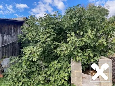 4-Zimmer-Haus kaufen in Güssing – 110 m², € 189.000 – Bild 16 von 22