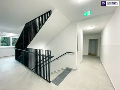 2-Zimmer-Wohnung mieten in Wien – 43,55 m², € 860 – Bild 6 von 10