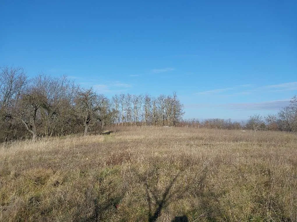 1583m² Grundstück zu verkaufen in Westungarn!