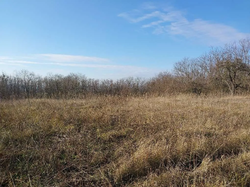 1583m² Grundstück zu verkaufen in Westungarn! - Ansicht 2