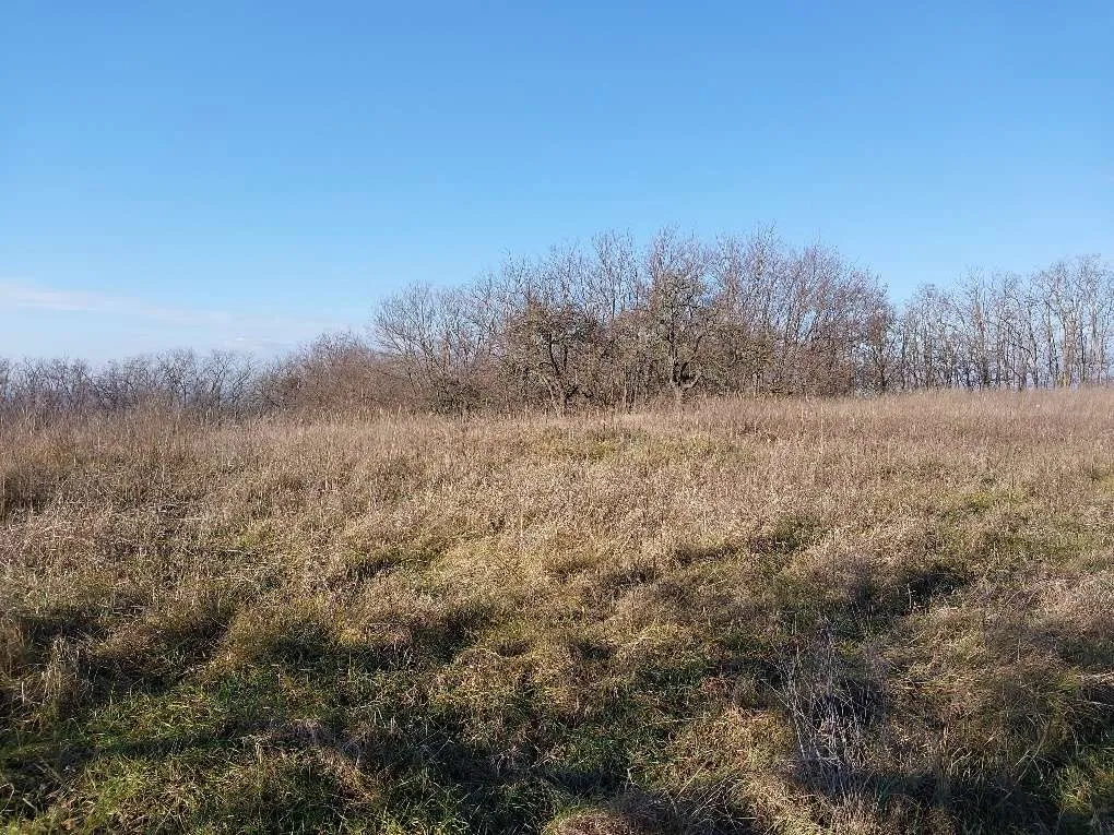 1583m² Grundstück zu verkaufen in Westungarn! - Ansicht 3