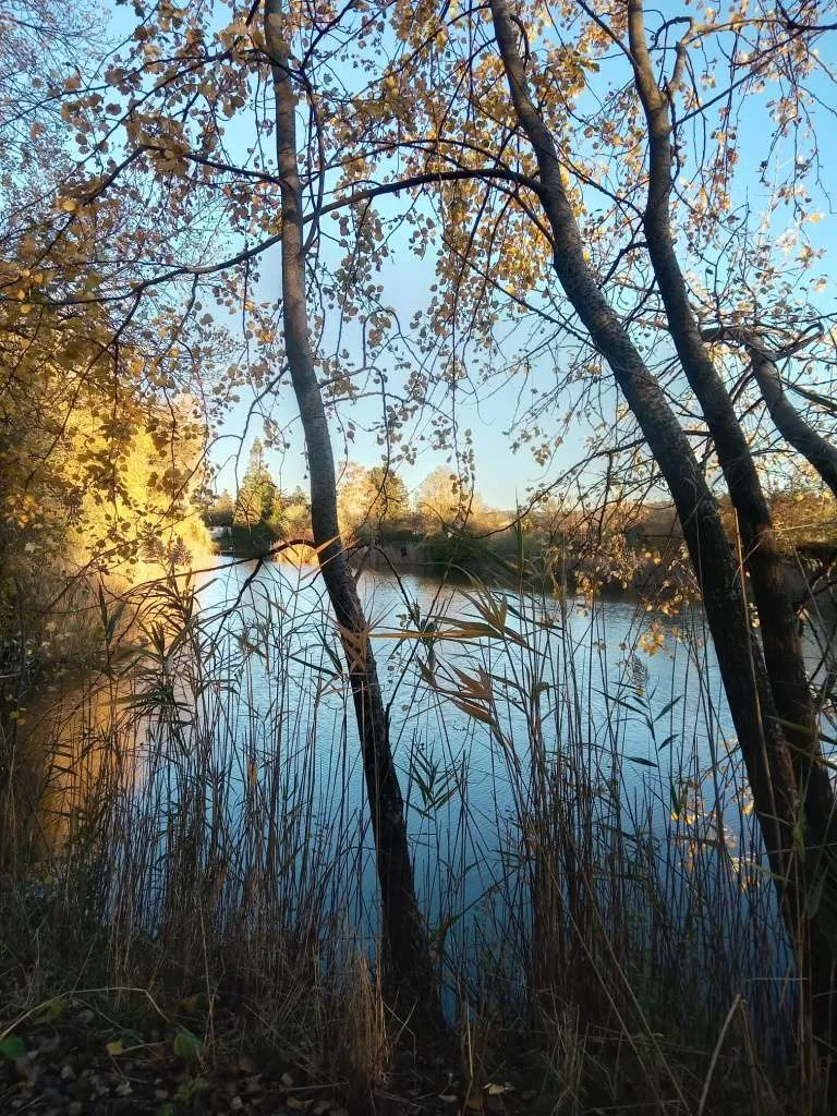 Idyllisches Freizeitgrundstück (500 m²) in Wipfing - Oase im Grünen - Vue 3