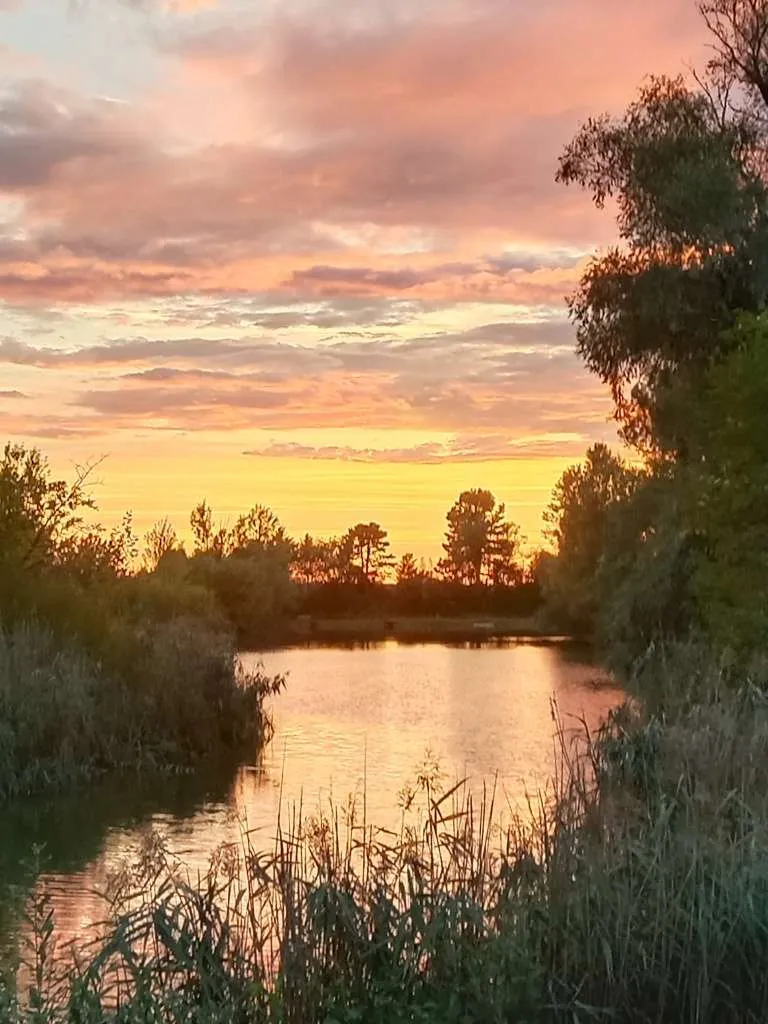 Idyllisches Freizeitgrundstück (500 m²) in Wipfing - Oase im Grünen - Vue 2