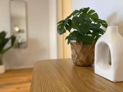 1-Zimmer-Wohnung mieten in Salzburg Stadt – 35 m², € 1.230 – Bild 12 von 18