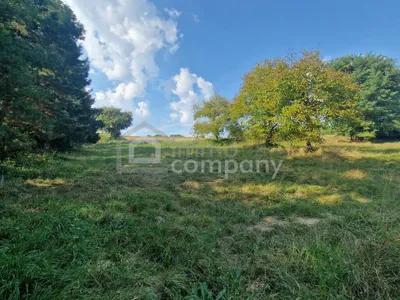 Grundstück kaufen in Oberpullendorf – 4 134 m², € 110.000 – Bild 3 von 4