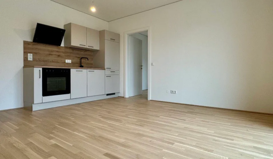 Wohnung mieten im Grün . Eggenberg - Widok 3