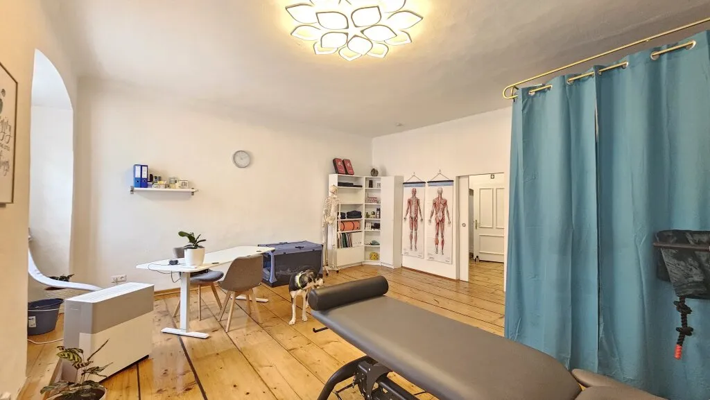 NEUES BÜRO oder PRAXIS? Mieten und Wohlfühlen in Spittal/Drau. - Ansicht 2