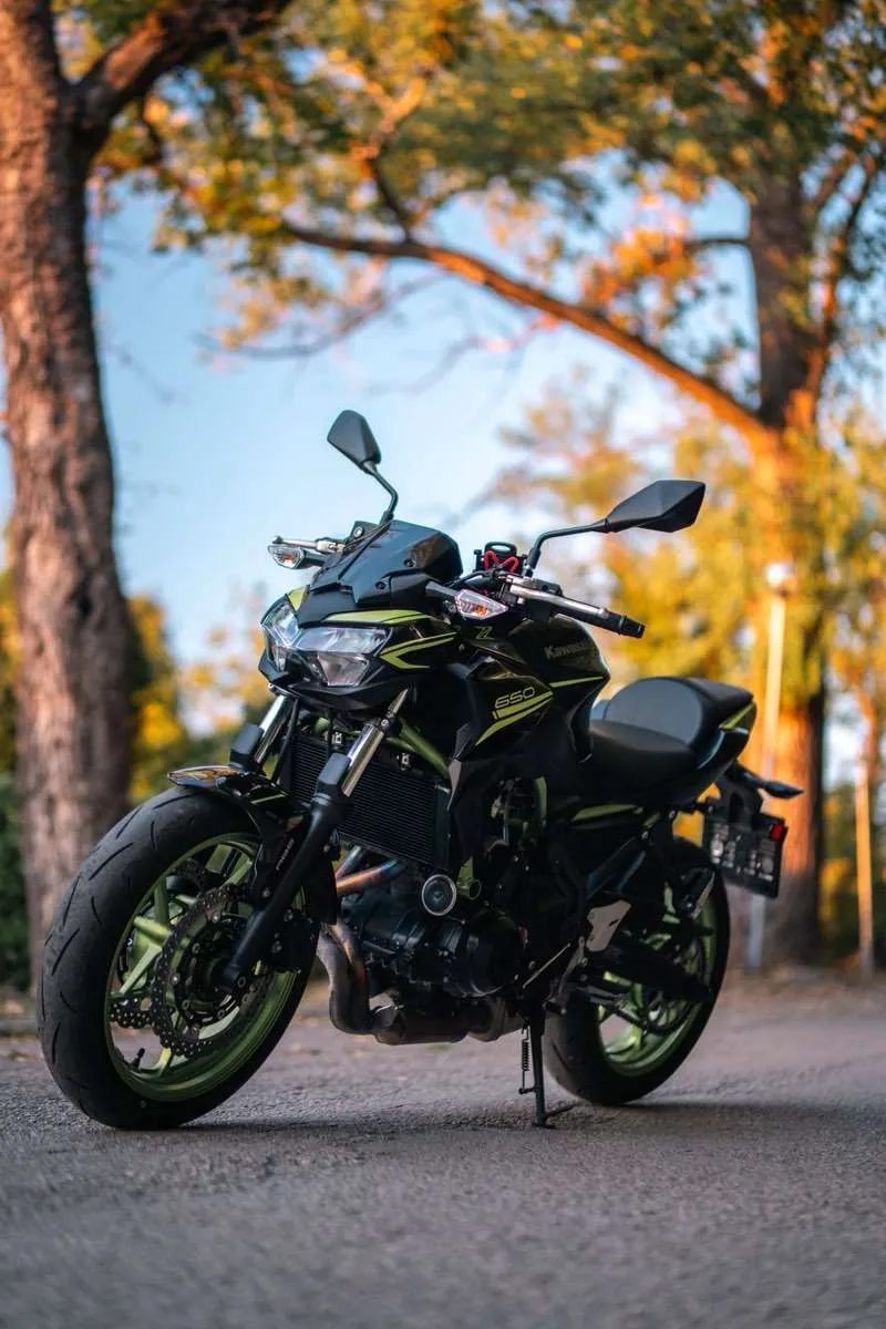 Kawasaki Z