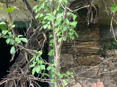 5-Zimmer-Grundstück kaufen in Voitsberg – 130 m², € 250.000 – Bild 63 von 70