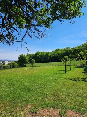 Grundstück kaufen in Mödling – 774 m², € 775.000 – Bild 7 von 13