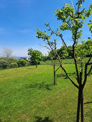 Grundstück kaufen in Mödling – 774 m², € 775.000 – Bild 6 von 13