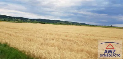 Grundstück kaufen in Steyr – 65 000 m²