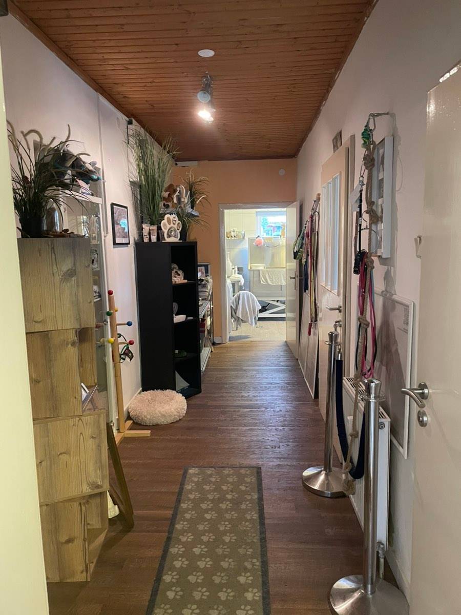Hundefriseursalon zur Vermietung - Ansicht 2