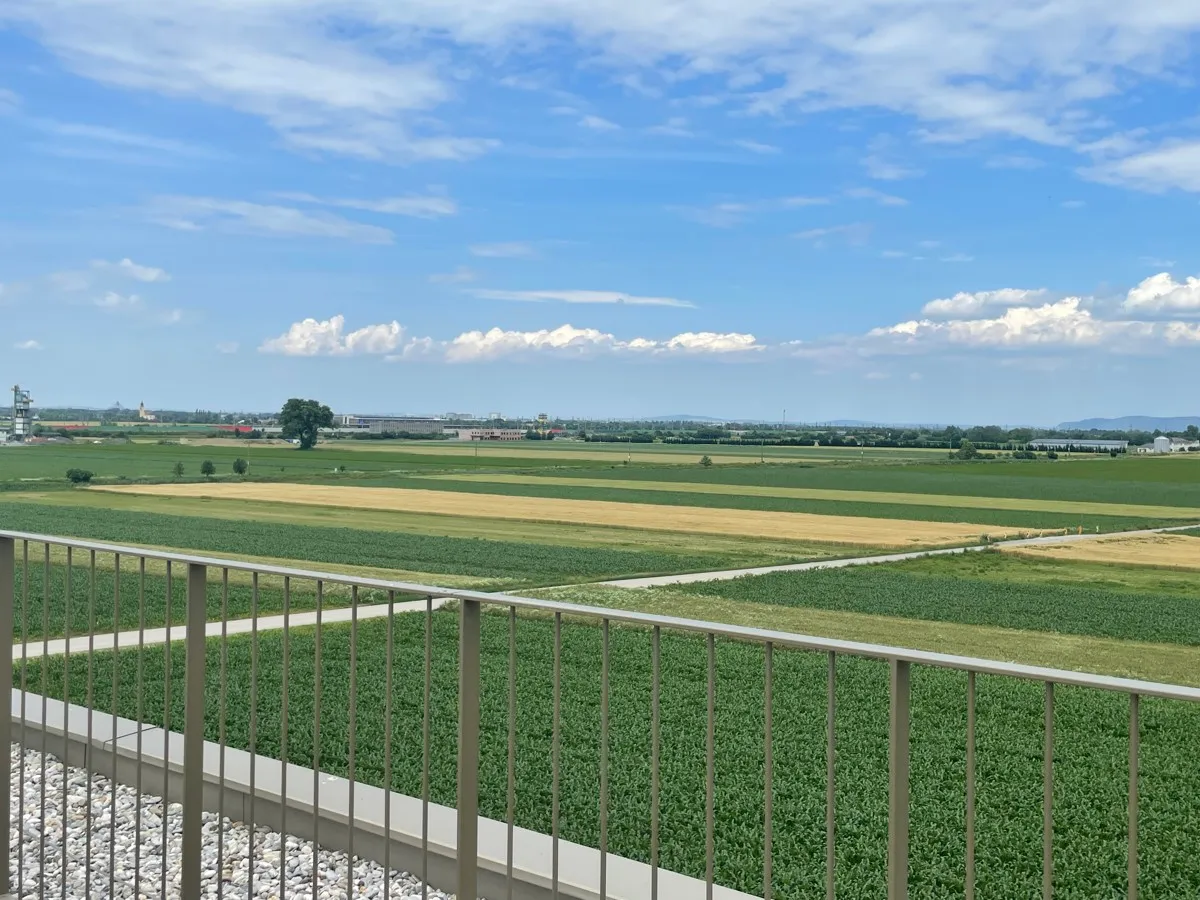ZumGLÜCK Wohnen im Tullnerfeld * Pixendorf * Erstbezug - Ansicht 2
