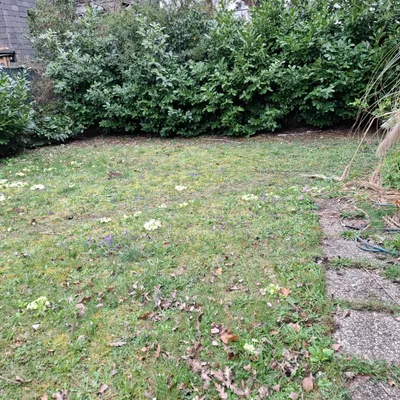 7-Zimmer-Haus kaufen in Wien – 200 m², € 999.000 – Bild 23 von 23