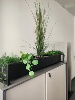 7-Zimmer-Gewerbeimmobilie mieten in Wien – 163 m², € 4.163 – Bild 6 von 10