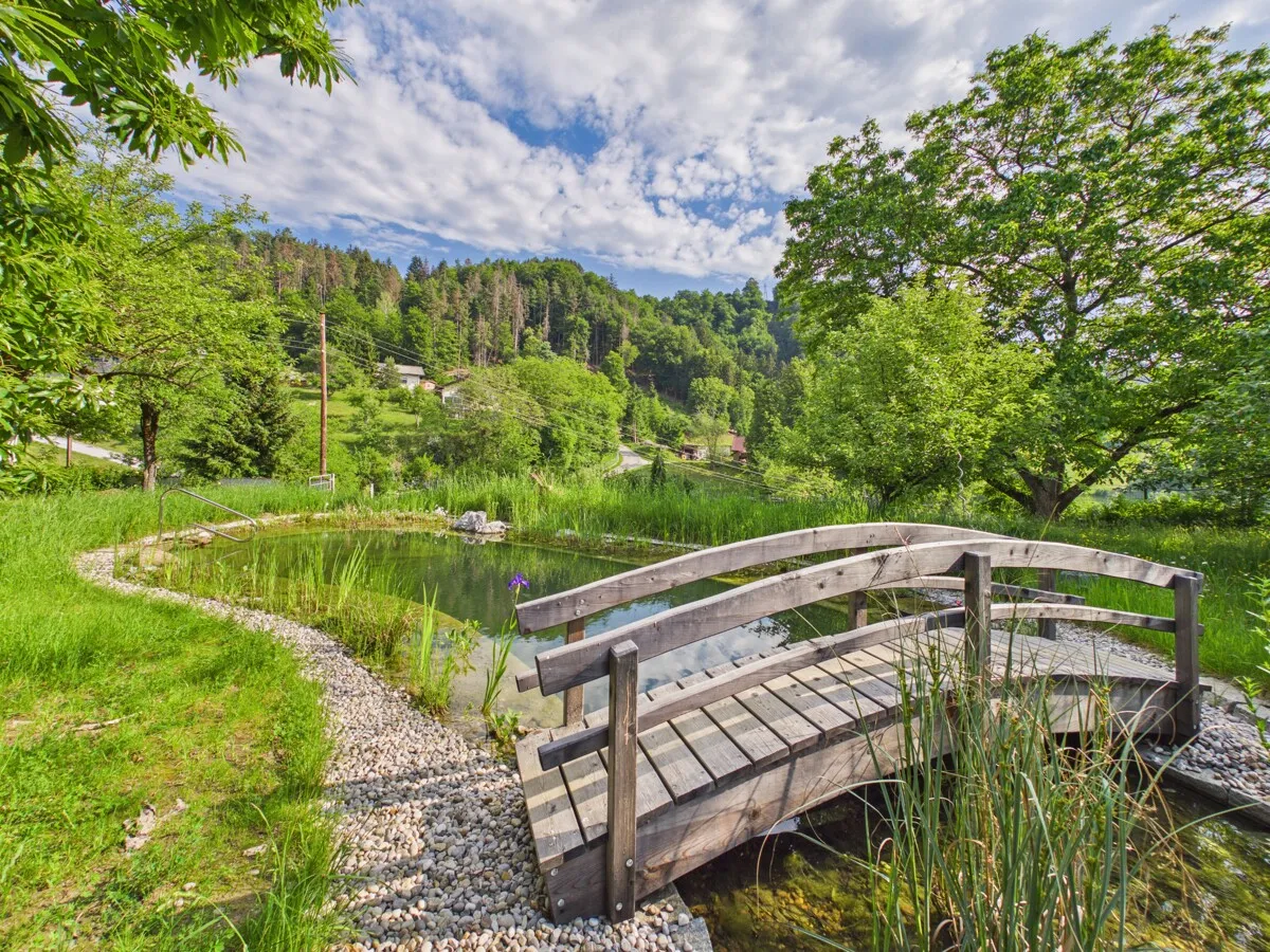 Ruheoase in Kossiach - Einfamilienhaus mit 3.000 m² Gartenparadies, Naturteich & Selbstversorgerfläche - Widok 2