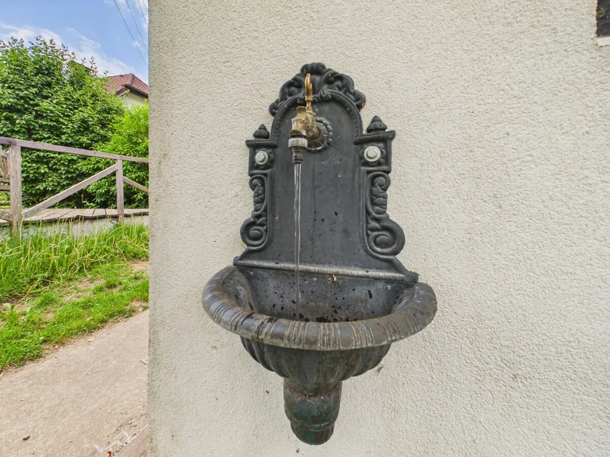 Ruheoase in Kossiach - Einfamilienhaus mit 3.000 m² Gartenparadies, Naturteich & Selbstversorgerfläche - Widok 3