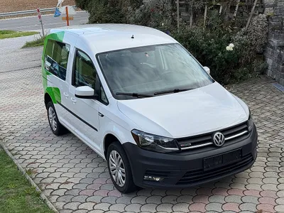 VW Caddy 2,0TDI 4MOTION AHK Standhzg