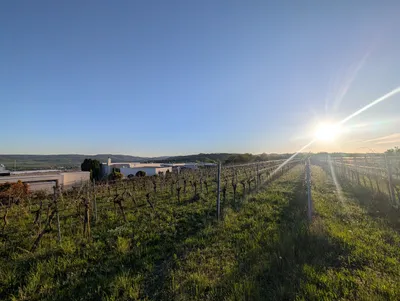 Grundstück kaufen in Krems an der Donau – 2 030 m² – Bild 4 von 12
